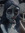 klea xx | 13 comments