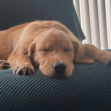 Mia