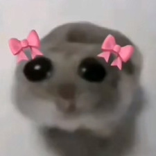 Meggy