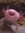 June Rozema