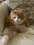 Elizabeth