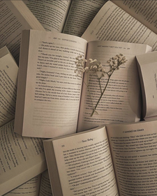 novel