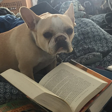 Will Book Reader Gonser