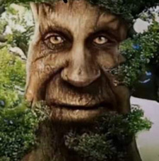 Hunter Fortè 
