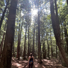 Karah Stevens Norman