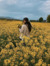 Sahana 
