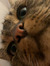 Freya T...