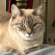 Caleb