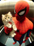 Spider man