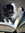 member photo member photo