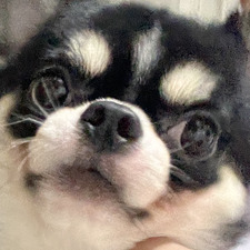 Noppasit Jirachaipithuk