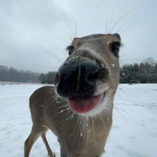 ˚₊· ͟͟͞͞➳❥ Mia ♣˚₊·