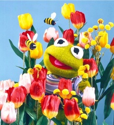 Kells (◍•ᴗ•◍)❤