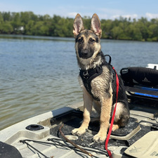 Miranda