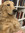 Michael S (the_book_dormer) | 1 comments