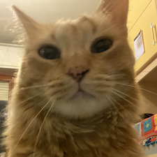 mati☆⋆｡°‧★