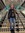 Cheyenne Jones