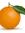 Citrus