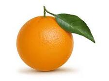 Citrus