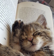 BooksFromThreeAngles