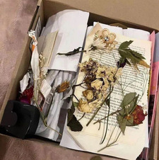 ⟐⋆✯Marika✯⋆⟐