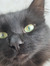 Amy Rey