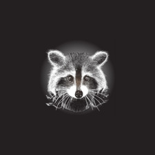 Banditpaws