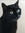 Lynn (peachtly) | 7 comments
