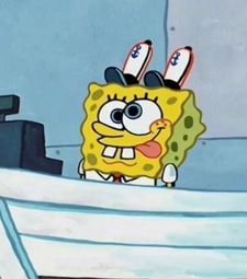 Catsinconstellations