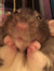 Ryleigh McConnaughhay