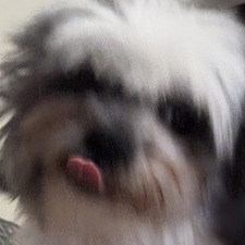 Thea