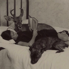 elena  posa &#x1fac0;