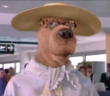 Ceres Woolley Maisch