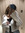 adaN | 1 comments