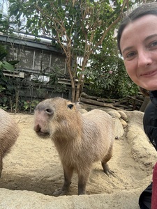 alicedonohoe7gmail.com