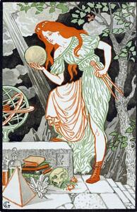 Macrochiroptera