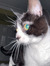 Thomas