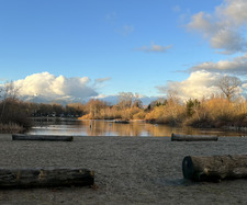 Ruth Zaryski Jackson