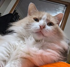 marcusneedsanothershelf