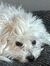 Edvin