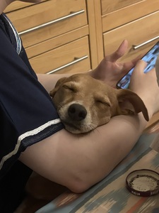 Heddwen Sian Campbell