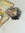 member photo member photo