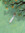 Kall