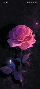 سَارَّةُ مُحمَّدٍ