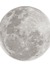 selene