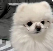 Vyn (ง •_•)ง *Hiatus