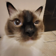 ♡Ida♡⠀ ⠀⠀ ⠀⠀ ⠀⠀