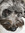 Bas | 71 comments