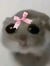 nedjine ☆