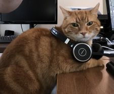 Tracy Chambers Gusler